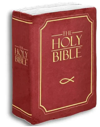 Bible Scripture Pillow (Single Piece)